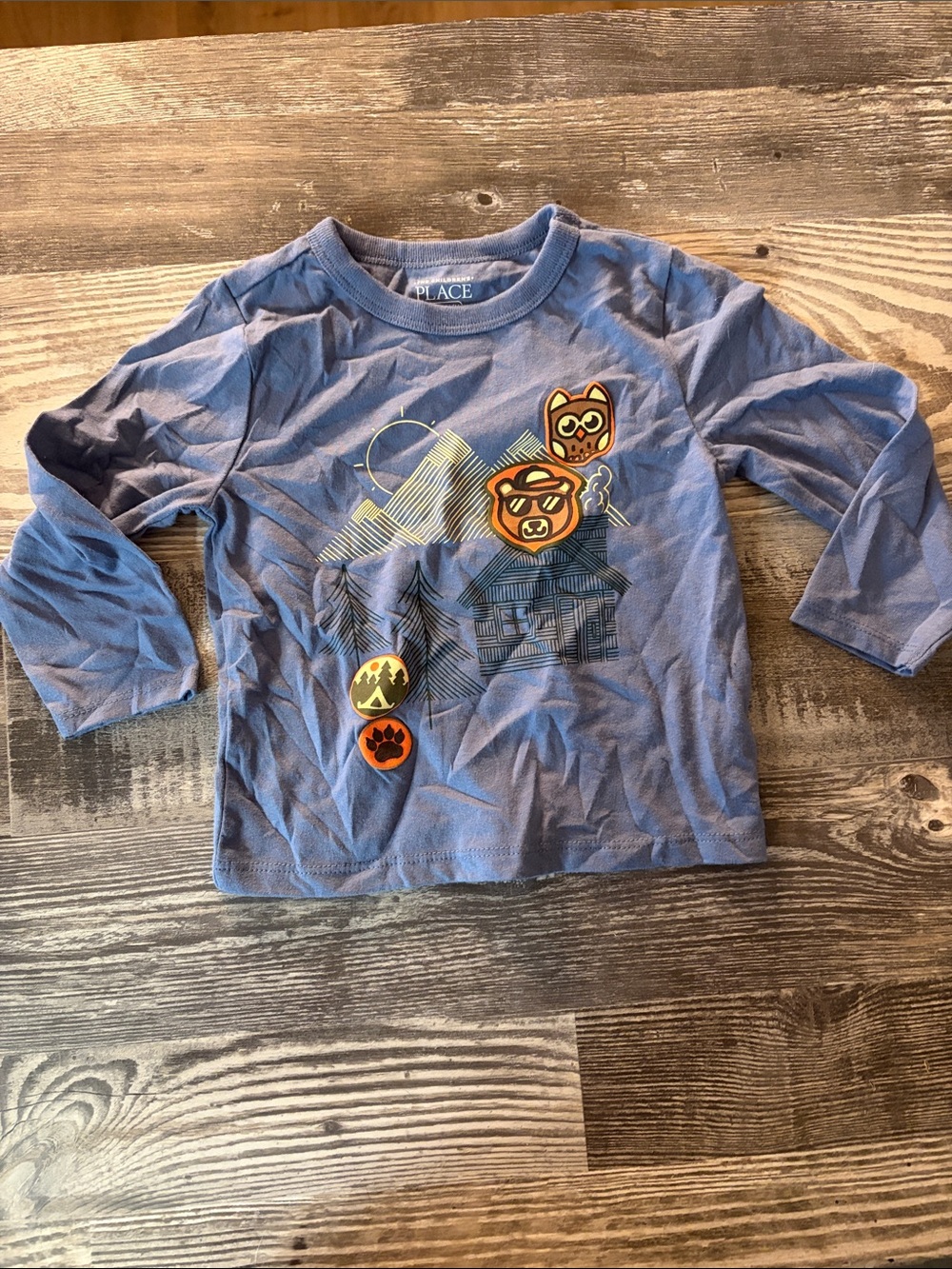 The Children's Place Light Blue Long-Sleeve Tee with Mountain & Badge Graphics